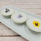 Best ขนมถ้วย * Coconut Pudding in Brooklyn, NY